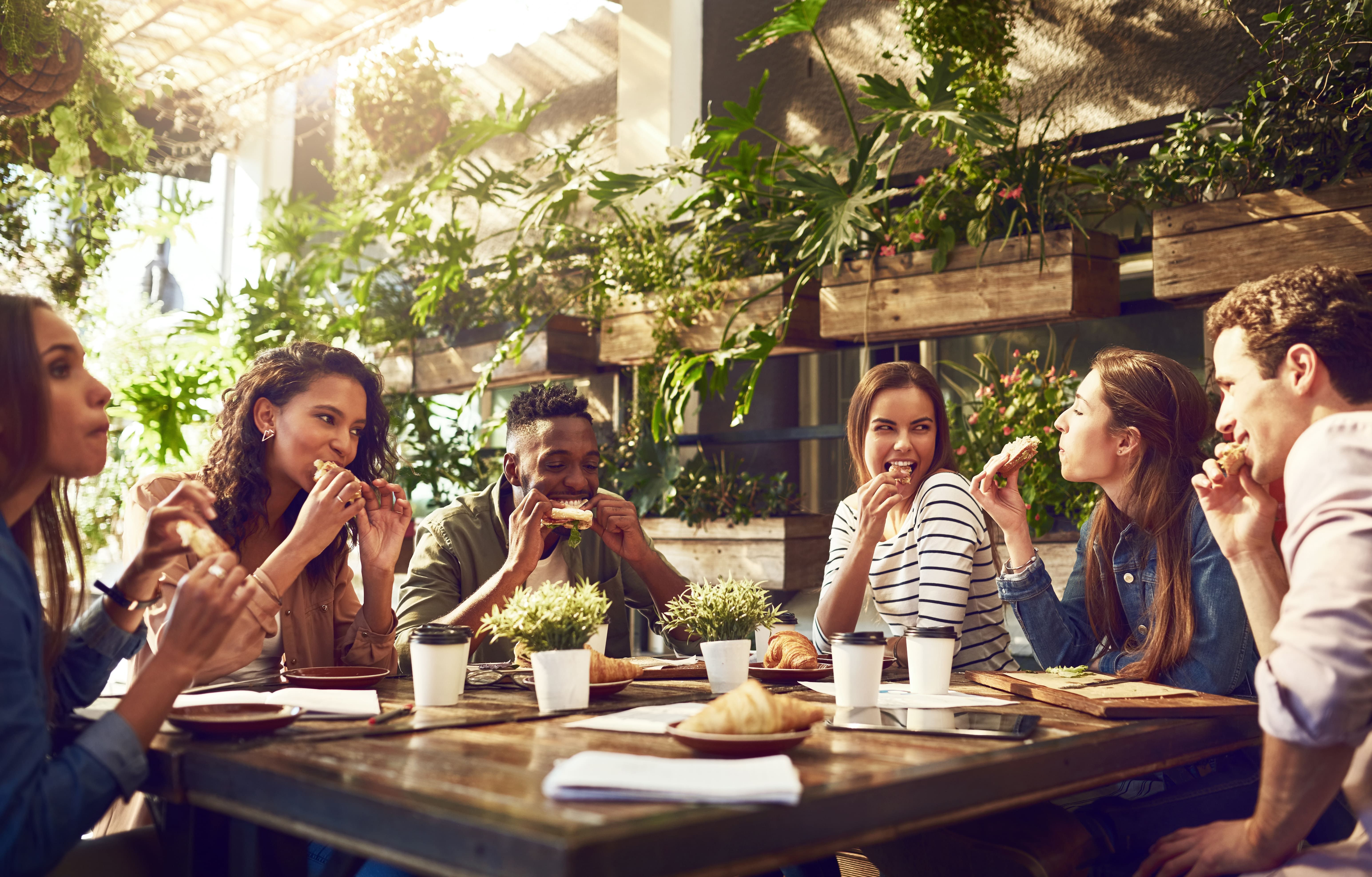 25,8 millones de personas han participado en Veganuary 2025 en todo el mundo