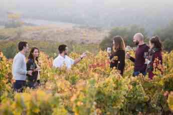 Bodegas Obergo, frescura y elegancia en los vinos blancos del Somontano