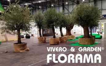 Viveros Florama: Revoluciona la decoración con su innovador servicio de alquiler de plantas