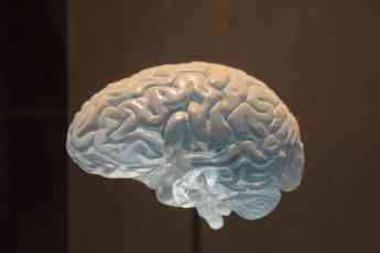 Centro Alcume trata el aumento de enfermedades neurodegenerativas y la importancia de la rehabilitación neurológica