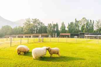 Bifeedoo impulsa la preparación sostenible de granjas para la primavera
