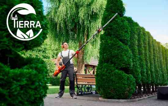 La Tierra Jardinería: Cuidando la salud de los árboles con servicios especializados