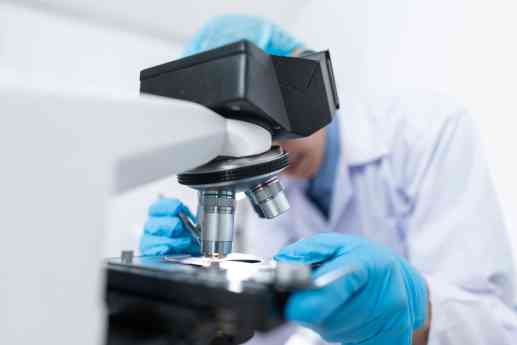 Centro San Bernardo CSB consolida su crecimiento y proyección internacional gracias a su alianza estratégica con Charles River Laboratories
