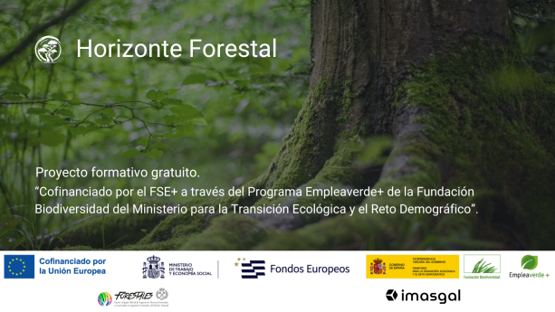 Horizonte Forestal: proyecto formativo gratuito
