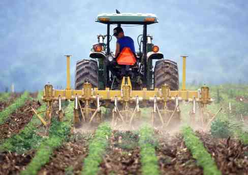 Mascaró Agricultors optimiza la productividad agrícola en Lleida con servicios profesionales y sostenibles