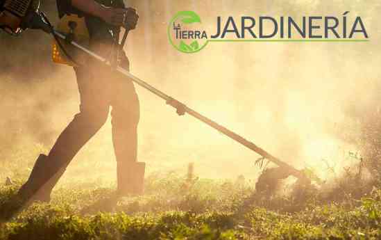 Desbroce de fincas y terrenos: Soluciones profesionales con La Tierra Jardinería 
