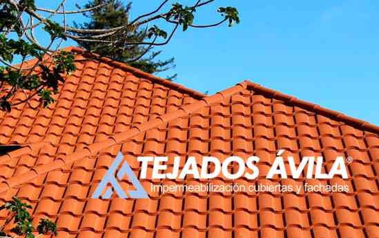 La solución definitiva para las goteras, por Tejados Ávila