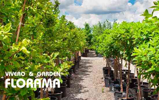 Viveros Florama: tradición, innovación y sostenibilidad en jardinería madrileña