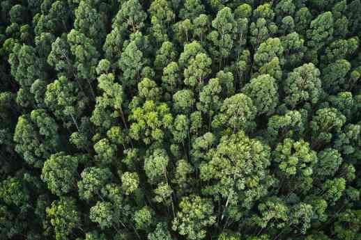 Grupo Copisa reafirma su compromiso con la sostenibilidad climática mediante su participación en la quinta edición del Climate Ambition Accelerator