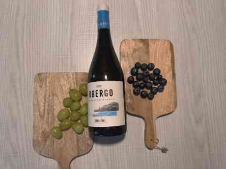 Bodegas Obergo se consolida como referente internacional desde la D.O.P. Somontano con el lanzamiento de su nuevo Obergo Expression Garnacha Blanca
