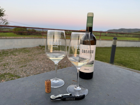 Bodegas Obergo participa en el Festival del Vino Somontano 2025 con nuevas propuestas y ediciones limitadas