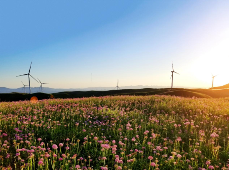 Energía verde en el corazón de Wumeng: Guizhou perfila un nuevo modelo de desarrollo de energías limpias de alta calidad