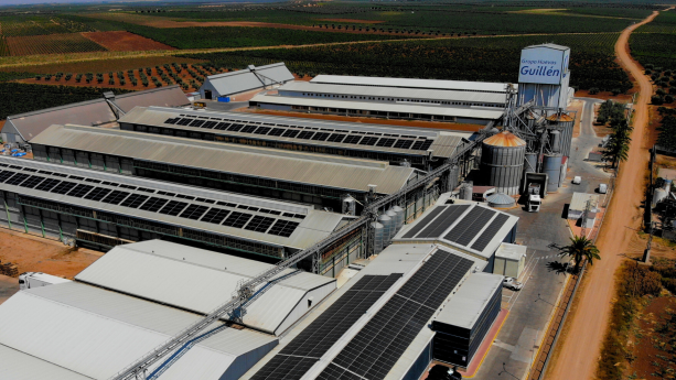 MASPV culmina con éxito la ampliación de la sexta planta fotovoltaica de Huevos Guillén