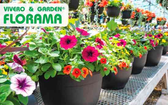 Viveros Florama: Inspirando jardines con naturaleza y diseño único