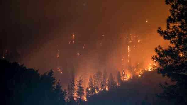 Allianz intensifica su protocolo especial ante los incendios que están asolando parte del país 