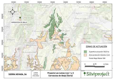Así será el nuevo bosque de 119 hectáreas en Carrascosa de Abajo (Soria) diseñado con soluciones basadas en la naturaleza