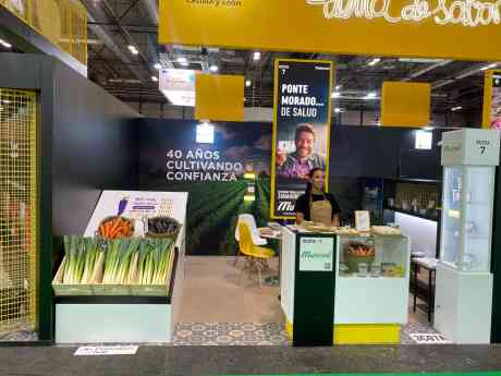 MuñozVal se posiciona en Fruit Attraction como referente en zanahoria morada con suministro anual asegurado