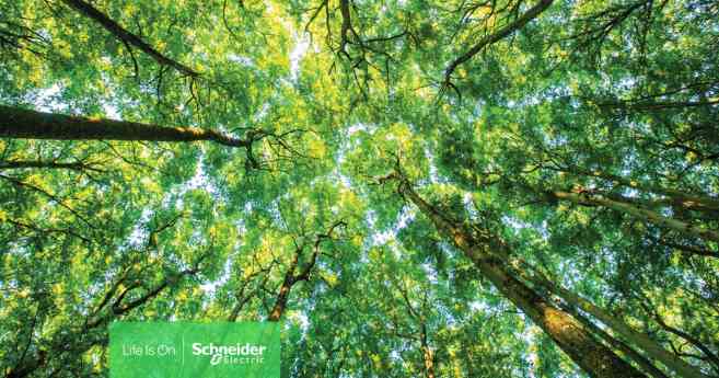 El centro de distribución de Schneider Electric en Évreux ha sido reconocido como Sustainability Lighthouse por el Foro Económico Mundial
