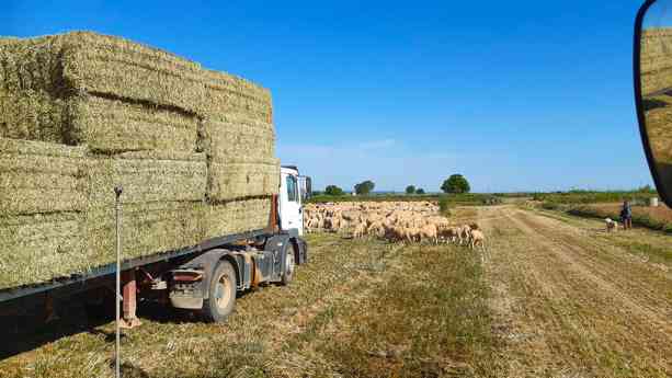 BioPalacín Planet se consolida en el mercado gracias al aumento del valor que el consumidor otorga a los alimentos km 0