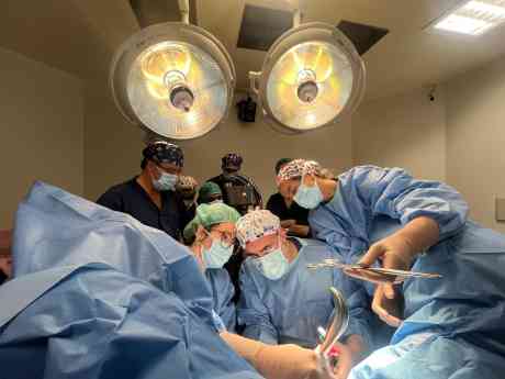 Los miomas uterinos pueden tratarse con técnicas mínimamente invasivas que reducen el dolor y aceleran la recuperación