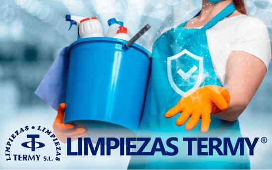 Limpieza profunda y resultados visibles: la propuesta de Limpiezas TERMY