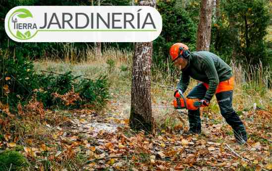 La Tierra Jardinería fortalece su presencia en la tala de árboles con servicios seguros, técnicos y adaptados al entorno