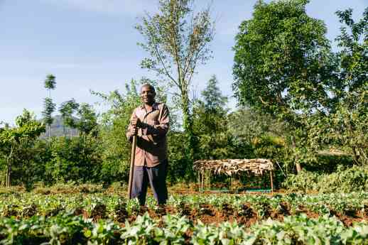Smoking Paper contribuye a la plantación de 245.922 árboles