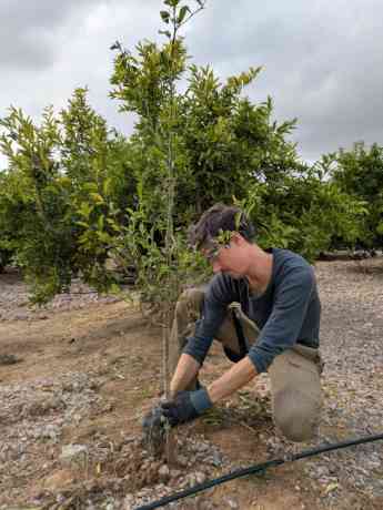 Más del 80% de la juventud rural quiere implicarse en sus territorios