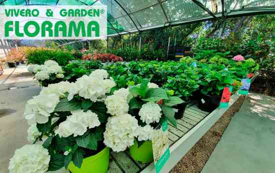 Viveros Florama, líderes en diseño y mantenimiento de jardines