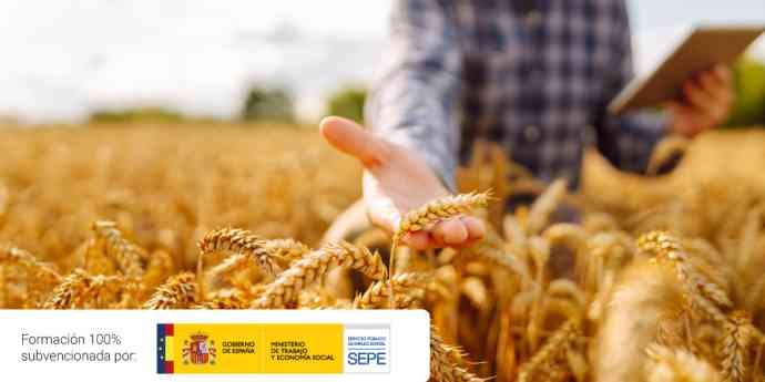 Top 3 competencias clave que adquirir en 2026 para el sector agrario