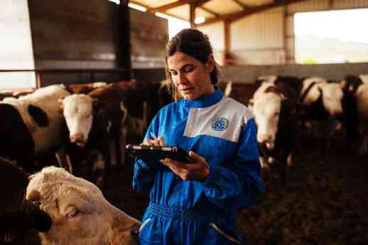 Provacuno lanzará una app para medir la huella de carbono del vacuno de carne en España, durante el segundo año de la campaña 'Por una Europa sostenible, la misión especial del vacuno'