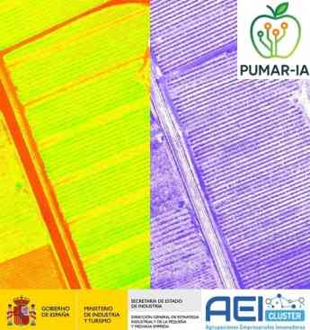 Un novedoso proyecto impulsa la digitalización del ciclo productivo de las manzanas de sidra asturiana y vasca mediante IA y tecnologías de teledetección