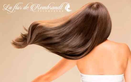 La Flor de Rembrandt presenta Tanino Therapy en tres tipos de cabellos dañados