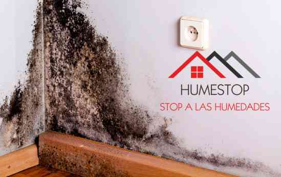 HUMESTOP consolida su referencia técnica en la erradicación definitiva de humedades estructurales en viviendas y edificios