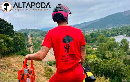 ALTAPODA impulsa la integración normativa y ambiental en el cuidado del arbolado