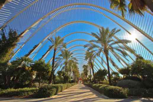 Valencia lidera el ranking de las ciudades más saludables de España, según un estudio de Altezza Travel