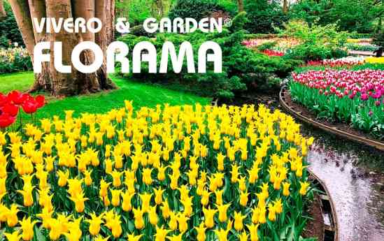 El despertar de la naturaleza: guía completa para la renovación del jardín en primavera, por Viveros Florama