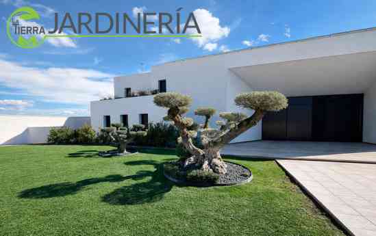 Mantenimiento de jardines con La Tierra Jardinería: clave para espacios verdes duraderos