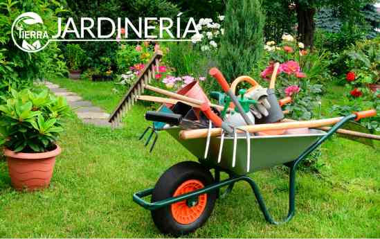 Mantenimiento de jardines 360°: La Tierra Jardinería garantiza espacios perfectos durante todas las estaciones del año