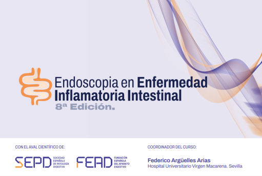 La SEPD forma a especialistas en Digestivo para un mejor diagnóstico y seguimiento endoscópico de la EII