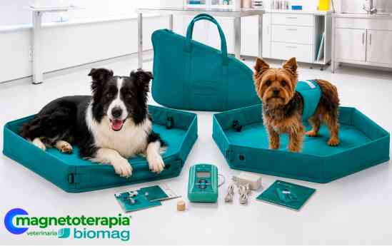 Tecnología 3D y salud animal: así funcionan los kits veterinarios de Magnetoterapia Biomag
