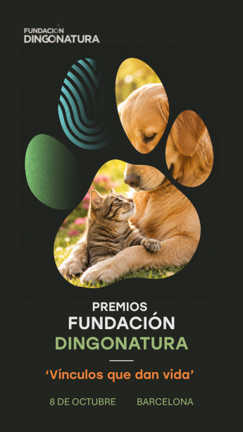 España tiene más perros que niños: Fundación Dingonatura busca historias que transforman esta realidad