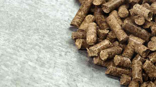 Bifeedoo destaca la importancia del pienso ecológico para optimizar la alimentación animal durante el verano