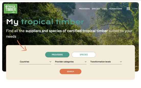My Tropical Timber, plataforma de ATIBT para profesionales de madera tropical, logra un inicio prometedor