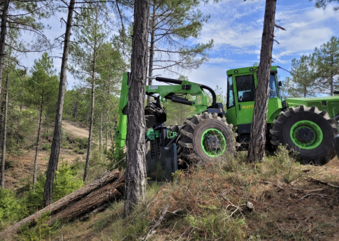 Grup Boix destaca la gestión forestal como medida clave contra los grandes incendios