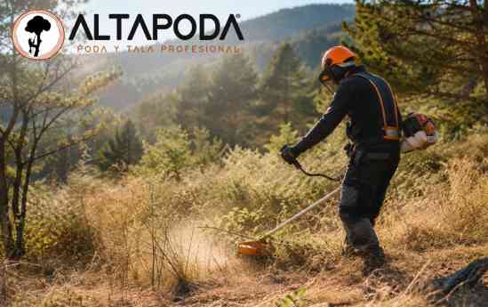 ALTA PODA señala el desbroce de fincas como una medida preventiva ante las altas temperaturas del verano