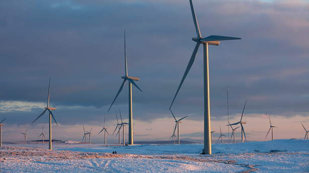 Iberdrola planea repotenciar Whitelee para duplicar capacidad eólica con una inversión de 1.800 millones de euros