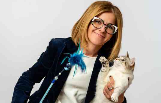 La peluquería felina se consolida como una especialidad muy demandada en el sector de las mascotas