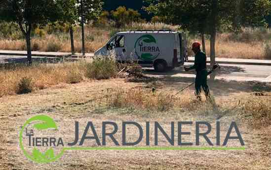 La Tierra Jardinería destaca el desbroce preventivo de fincas como una actuación clave para proteger terrenos frente al riesgo de incendios