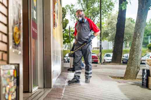 Las cucarachas lideran el ranking de plagas en Andalucía, con especial incidencia en Huelva, Jaén y Sevilla